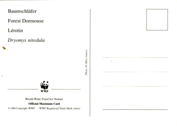 CM 010 A / 013 A - WWF velké razítko ● - 1996